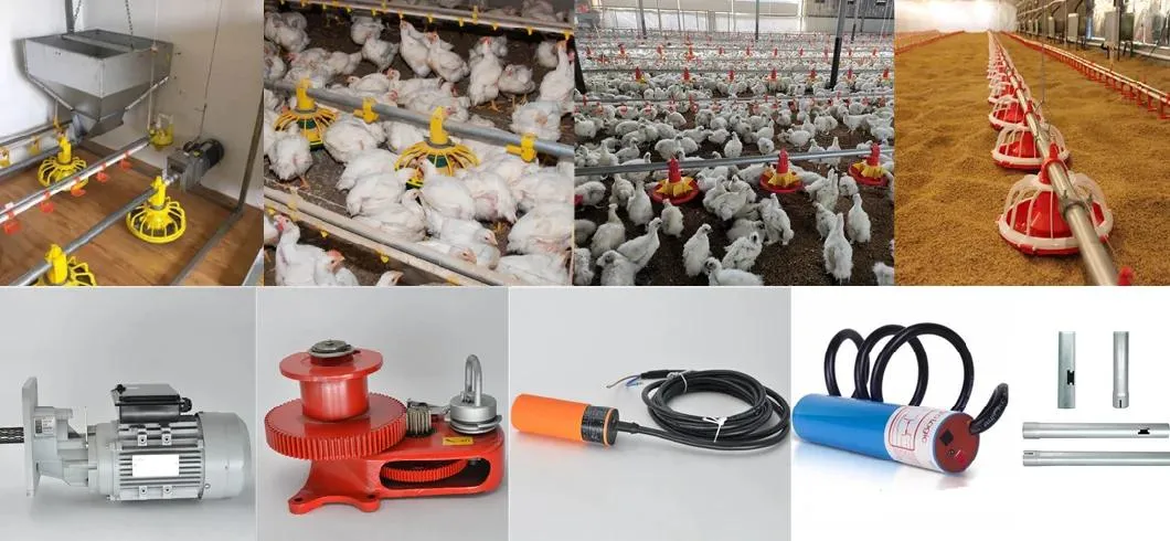 China Automatic Poultry Eqiupment Feeder Best Price